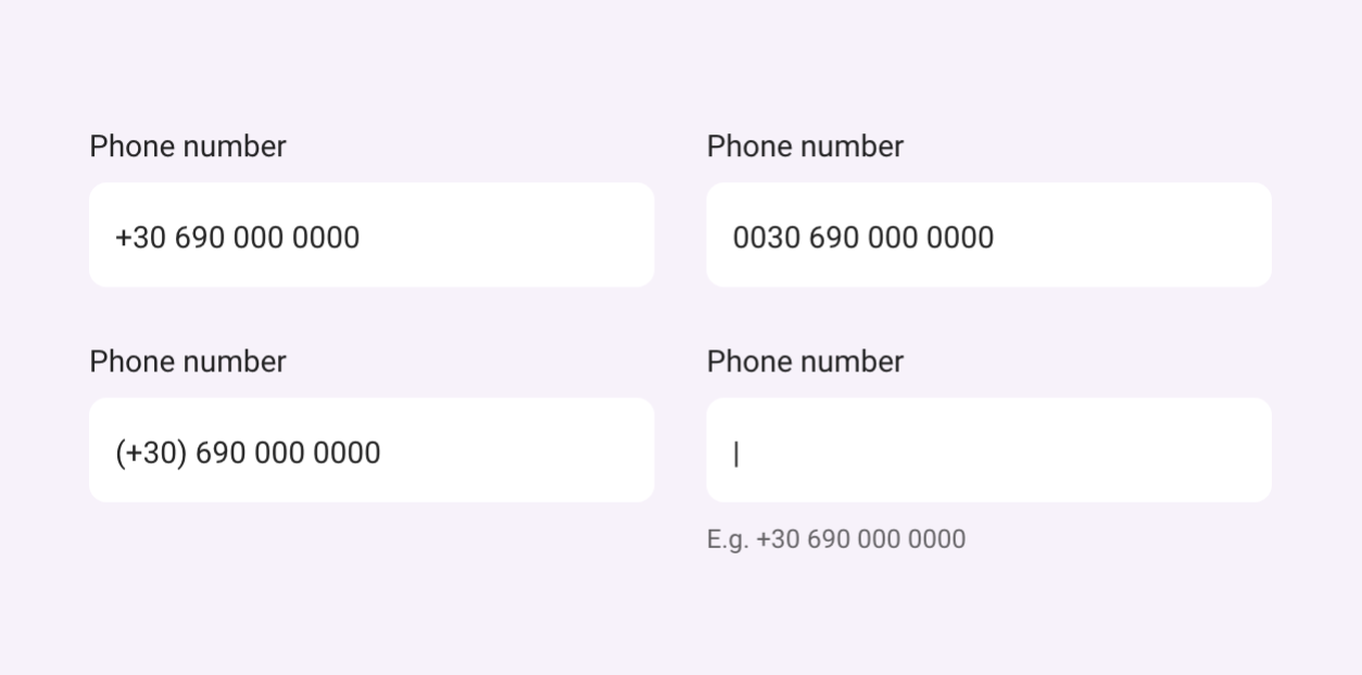 Flexible Inputs Example showing different input format acceptance